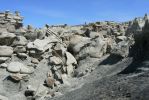 PICTURES/Bisti Badlands in De-Na-Zin Wilderness/t_Minarette2.JPG